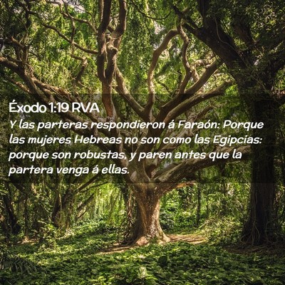 Picture 02 - Éxodo 1:19 RVA - Y las parteras respondieron á Faraón: Porque - Bible Verse Picture