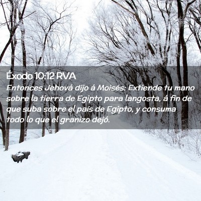 Picture 02 - Éxodo 10:12 RVA - Entonces Jehová dijo á Moisés: Extiende tu - Bible Verse Picture