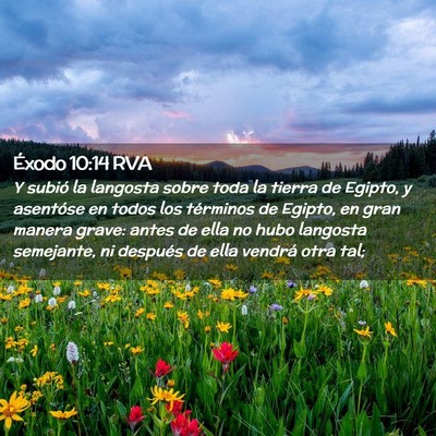 Picture 02 - Éxodo 10:14 RVA - Y subió la langosta sobre toda la tierra de - Bible Verse Picture