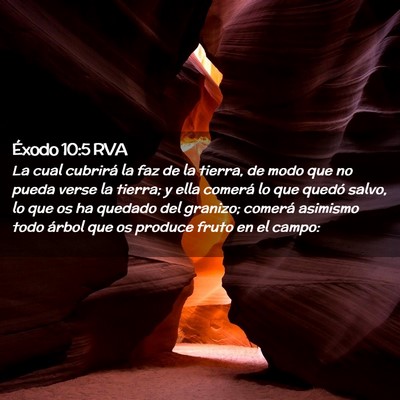 Picture 02 - Éxodo 10:5 RVA - La cual cubrirá la faz de la tierra, de modo que - Bible Verse Picture
