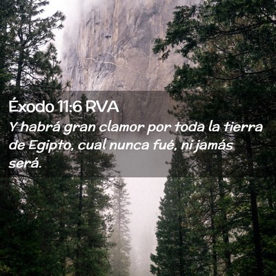 Picture 02 - Éxodo 11:6 RVA - Y habrá gran clamor por toda la tierra de - Bible Verse Picture
