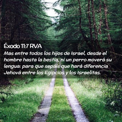 Picture 02 - Éxodo 11:7 RVA - Mas entre todos los hijos de Israel, desde el - Bible Verse Picture