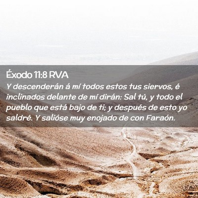 Picture 02 - Éxodo 11:8 RVA - Y descenderán á mí todos estos tus siervos, é - Bible Verse Picture