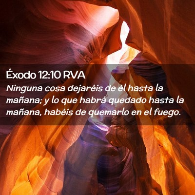 Picture 02 - Éxodo 12:10 RVA - Ninguna cosa dejaréis de él hasta la mañana; y - Bible Verse Picture