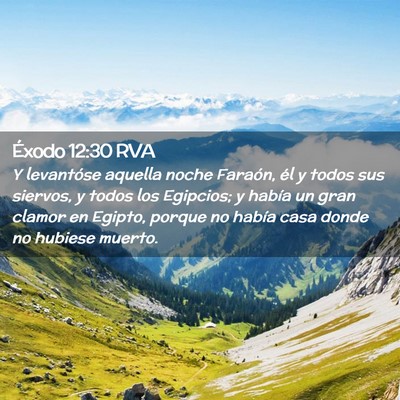 Picture 02 - Éxodo 12:30 RVA - Y levantóse aquella noche Faraón, él y todos - Bible Verse Picture