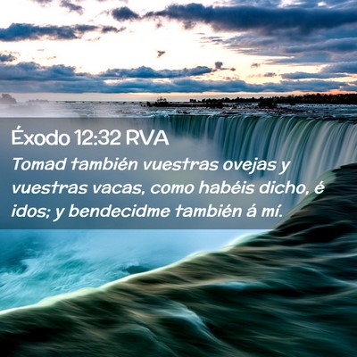 Picture 02 - Éxodo 12:32 RVA - Tomad también vuestras ovejas y vuestras vacas, - Bible Verse Picture