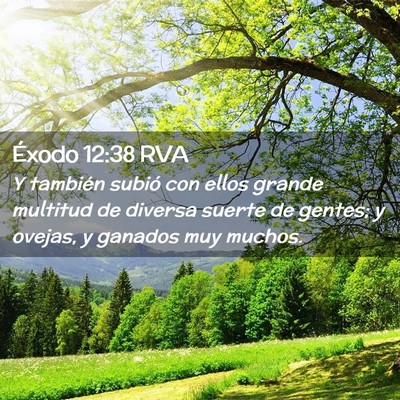 Picture 02 - Éxodo 12:38 RVA - Y también subió con ellos grande multitud de - Bible Verse Picture