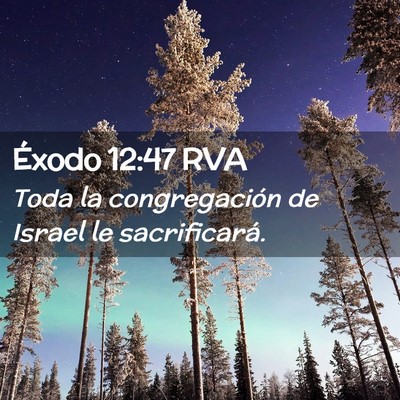 Picture 02 - Éxodo 12:47 RVA - Toda la congregación de Israel le - Bible Verse Picture
