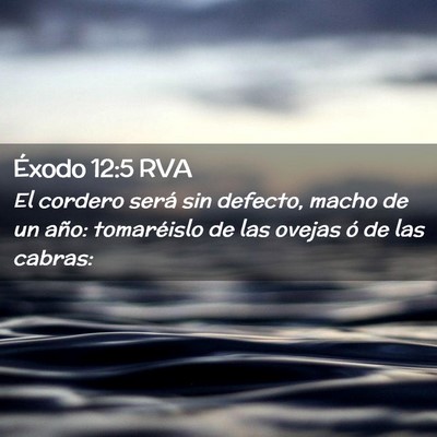 Picture 02 - Éxodo 12:5 RVA - El cordero será sin defecto, macho de un año: - Bible Verse Picture