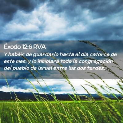 Picture 02 - Éxodo 12:6 RVA - Y habéis de guardarlo hasta el día catorce de - Bible Verse Picture