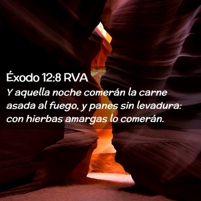Picture 02 - Éxodo 12:8 RVA - Y aquella noche comerán la carne asada al fuego, - Bible Verse Picture