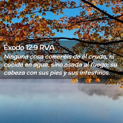 Picture 02 - Éxodo 12:9 RVA - Ninguna cosa comeréis de él cruda, ni cocida en - Bible Verse Picture