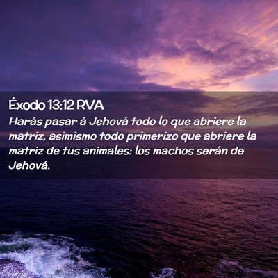 Picture 02 - Éxodo 13:12 RVA - Harás pasar á Jehová todo lo que abriere la - Bible Verse Picture
