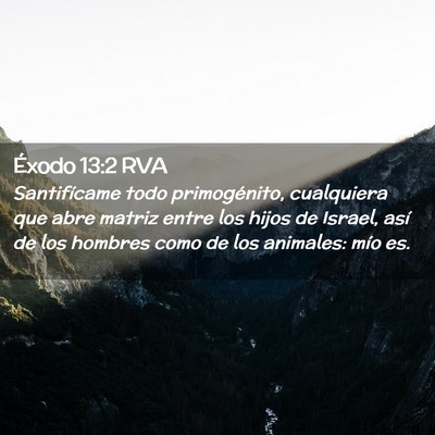 Picture 02 - Éxodo 13:2 RVA - Santifícame todo primogénito, cualquiera que - Bible Verse Picture