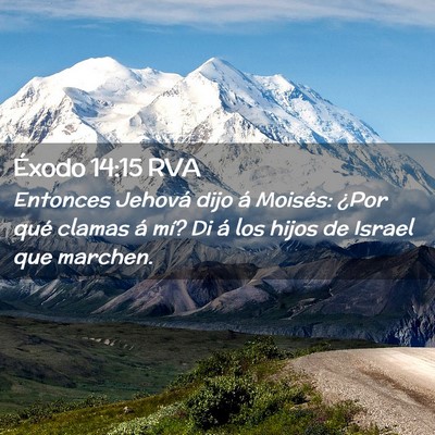 Picture 02 - Éxodo 14:15 RVA - Entonces Jehová dijo á Moisés: ¿Por qué - Bible Verse Picture