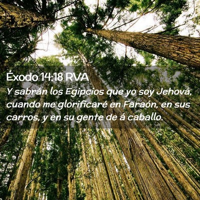 Picture 02 - Éxodo 14:18 RVA - Y sabrán los Egipcios que yo soy Jehová, cuando - Bible Verse Picture