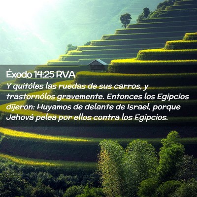 Picture 02 - Éxodo 14:25 RVA - Y quitóles las ruedas de sus carros, y - Bible Verse Picture