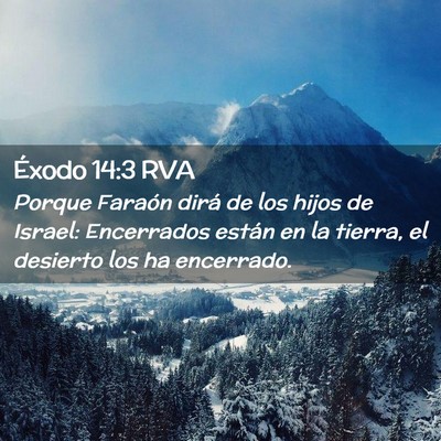 Picture 02 - Éxodo 14:3 RVA - Porque Faraón dirá de los hijos de Israel: - Bible Verse Picture
