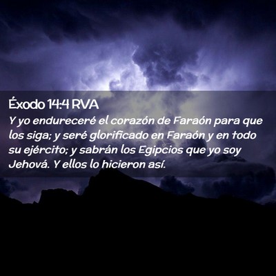 Picture 02 - Éxodo 14:4 RVA - Y yo endureceré el corazón de Faraón para que - Bible Verse Picture