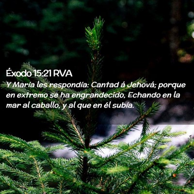 Picture 02 - Éxodo 15:21 RVA - Y María les respondía: Cantad á Jehová; - Bible Verse Picture