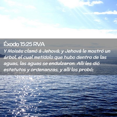 Picture 02 - Éxodo 15:25 RVA - Y Moisés clamó á Jehová; y Jehová le mostró - Bible Verse Picture