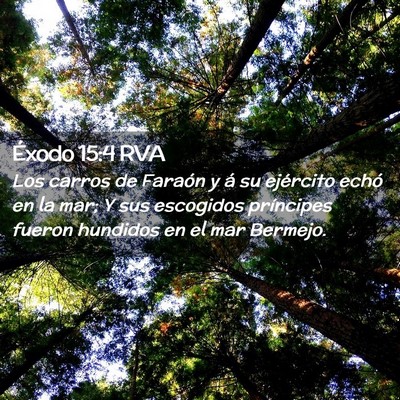 Picture 02 - Éxodo 15:4 RVA - Los carros de Faraón y á su ejército echó en - Bible Verse Picture