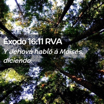 Picture 02 - Éxodo 16:11 RVA - Y Jehová habló á Moisés, - Bible Verse Picture