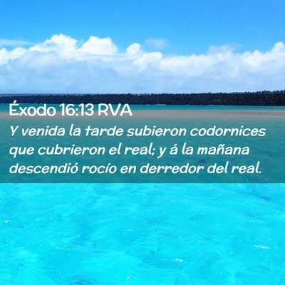 Picture 02 - Éxodo 16:13 RVA - Y venida la tarde subieron codornices que - Bible Verse Picture