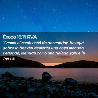 Picture 02 - Éxodo 16:14 RVA - Y como el rocío cesó de descender, he aquí - Bible Verse Picture