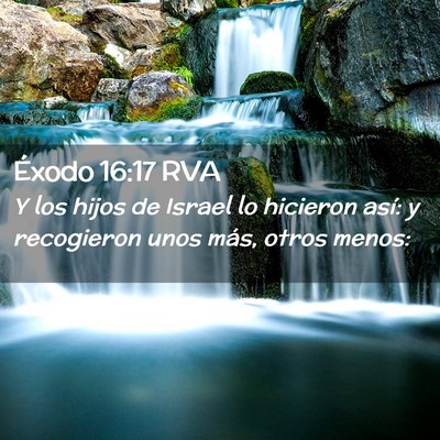 Picture 02 - Éxodo 16:17 RVA - Y los hijos de Israel lo hicieron así: y - Bible Verse Picture