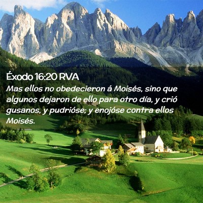 Picture 02 - Éxodo 16:20 RVA - Mas ellos no obedecieron á Moisés, sino que - Bible Verse Picture
