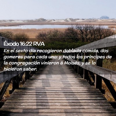 Picture 02 - Éxodo 16:22 RVA - En el sexto día recogieron doblada comida, dos - Bible Verse Picture