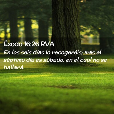 Picture 02 - Éxodo 16:26 RVA - En los seis días lo recogeréis; mas el séptimo - Bible Verse Picture