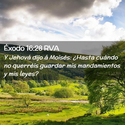 Picture 02 - Éxodo 16:28 RVA - Y Jehová dijo á Moisés: ¿Hasta cuándo no - Bible Verse Picture