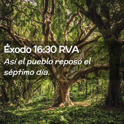 Picture 02 - Éxodo 16:30 RVA - Así el pueblo reposó el séptimo - Bible Verse Picture
