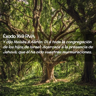 Picture 02 - Éxodo 16:9 RVA - Y dijo Moisés á Aarón: Di á toda la - Bible Verse Picture