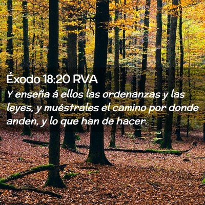 Picture 02 - Éxodo 18:20 RVA - Y enseña á ellos las ordenanzas y las leyes, y - Bible Verse Picture