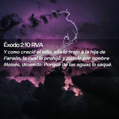Picture 02 - Éxodo 2:10 RVA - Y como creció el niño, ella lo trajo á la hija - Bible Verse Picture
