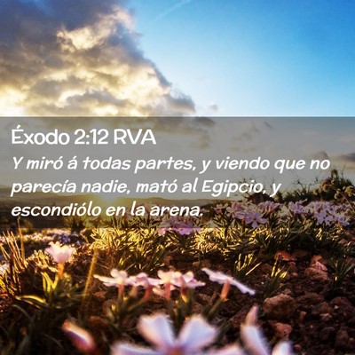 Picture 02 - Éxodo 2:12 RVA - Y miró á todas partes, y viendo que no parecía - Bible Verse Picture
