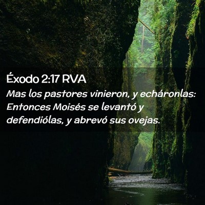 Picture 02 - Éxodo 2:17 RVA - Mas los pastores vinieron, y echáronlas: - Bible Verse Picture