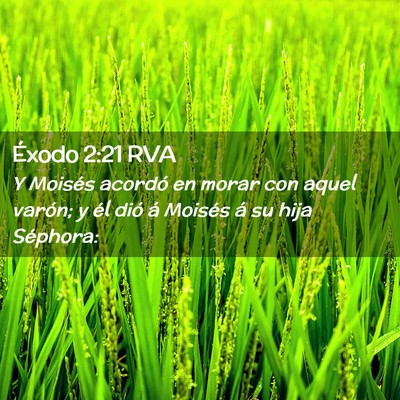Picture 02 - Éxodo 2:21 RVA - Y Moisés acordó en morar con aquel varón; y - Bible Verse Picture