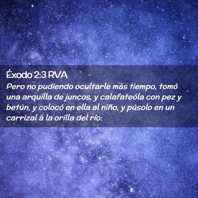 Picture 02 - Éxodo 2:3 RVA - Pero no pudiendo ocultarle más tiempo, tomó una - Bible Verse Picture