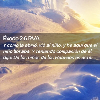Picture 02 - Éxodo 2:6 RVA - Y como la abrió, vió al niño; y he aquí que - Bible Verse Picture