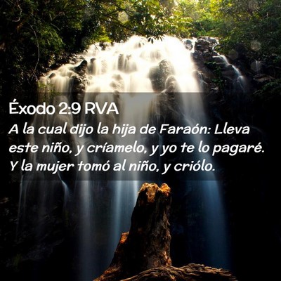 Picture 02 - Éxodo 2:9 RVA - A la cual dijo la hija de Faraón: Lleva este - Bible Verse Picture