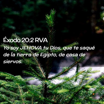 Picture 02 - Éxodo 20:2 RVA - Yo soy JEHOVA tu Dios, que te saqué de la tierra - Bible Verse Picture