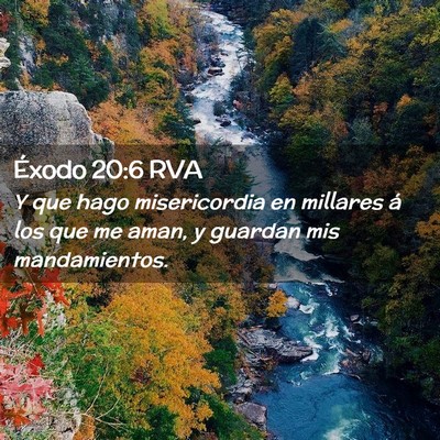 Picture 02 - Éxodo 20:6 RVA - Y que hago misericordia en millares á los que me - Bible Verse Picture