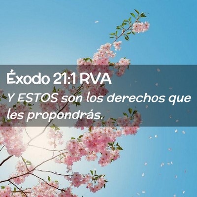 Picture 02 - Éxodo 21:1 RVA - Y ESTOS son los derechos que les - Bible Verse Picture