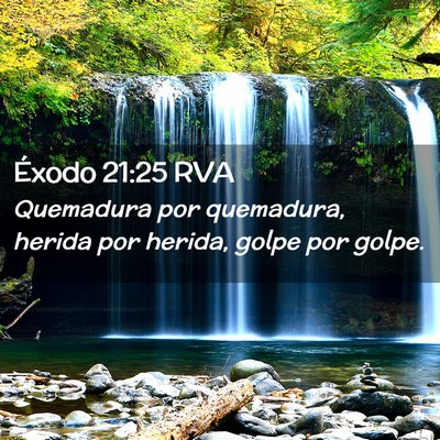 Picture 02 - Éxodo 21:25 RVA - Quemadura por quemadura, herida por herida, golpe - Bible Verse Picture