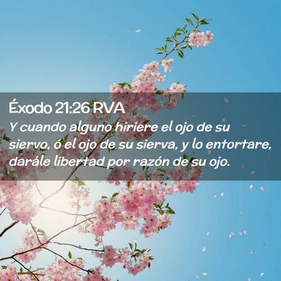 Picture 02 - Éxodo 21:26 RVA - Y cuando alguno hiriere el ojo de su siervo, ó - Bible Verse Picture