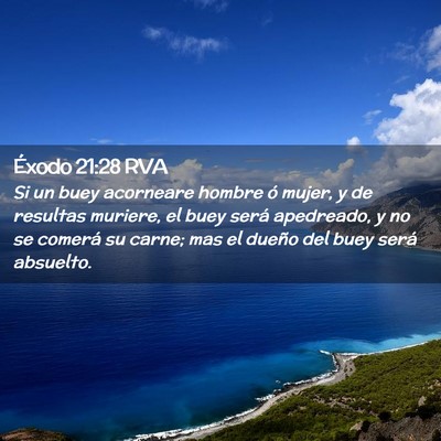 Picture 02 - Éxodo 21:28 RVA - Si un buey acorneare hombre ó mujer, y de - Bible Verse Picture